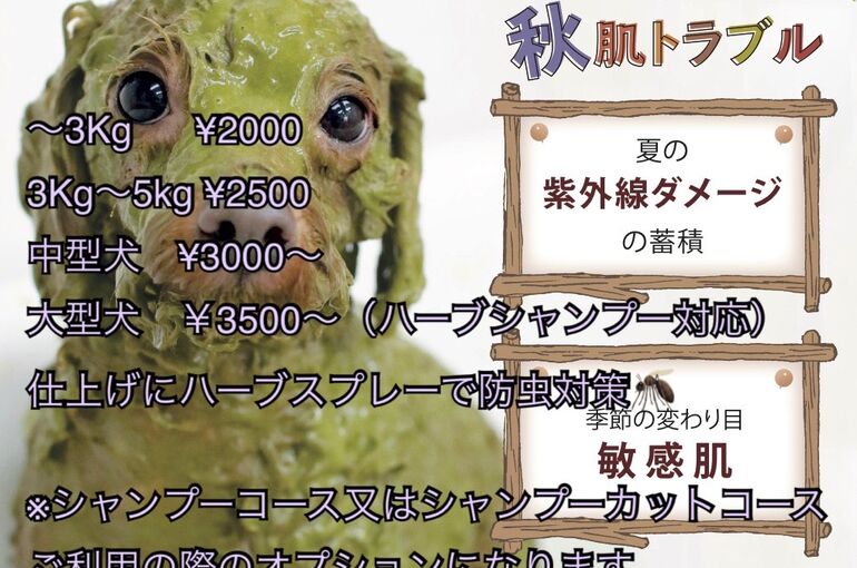 こんにちは、