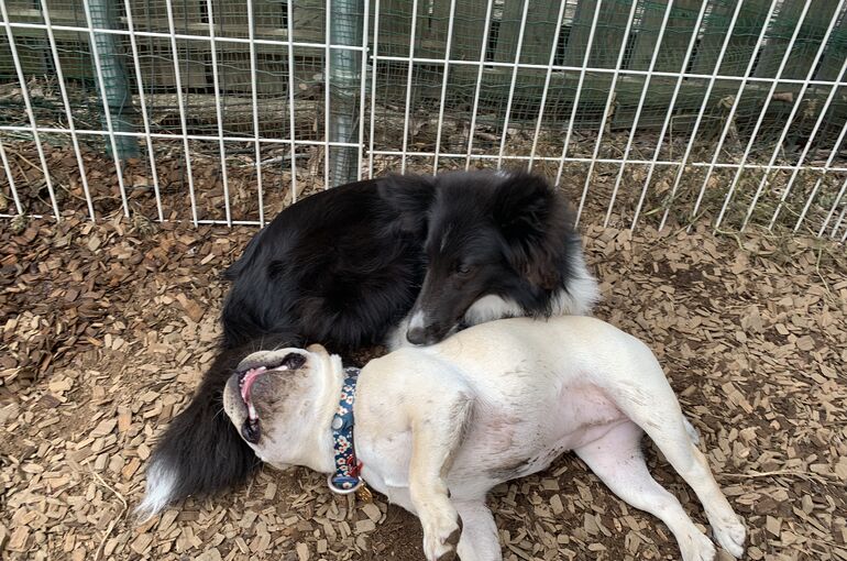 IMG_3043