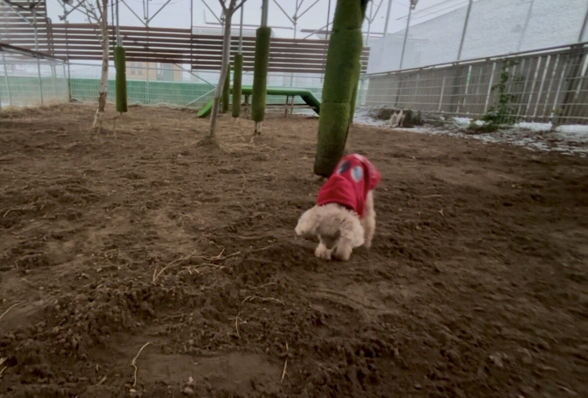 IMG_4706